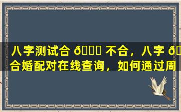 八字测试合 🐘 不合，八字 🐺 合婚配对在线查询，如何通过周易合婚找到最佳伴侣